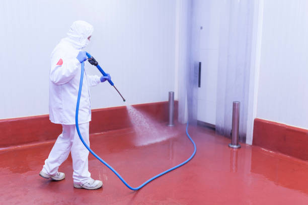 Best Sidewalk and Walkway Pressure Cleaning in Kootenai, ID